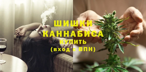 ECSTASY Богданович