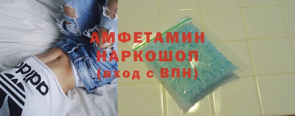 ECSTASY Богданович