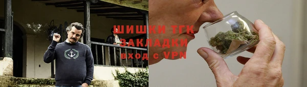 spice Богородицк