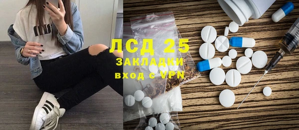 ECSTASY Богданович