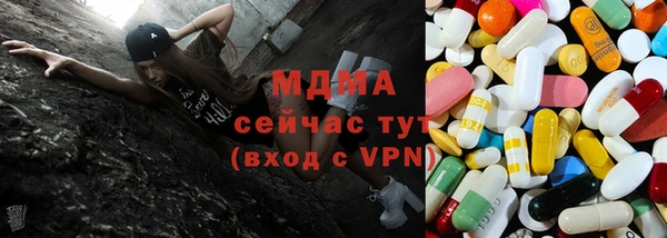 ECSTASY Богданович
