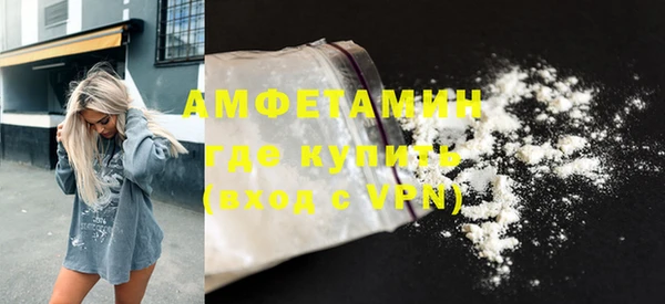 spice Богородицк
