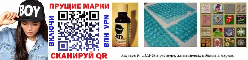 darknet наркотические препараты  Богородск  Наркотические марки 1,8мг  где можно купить  